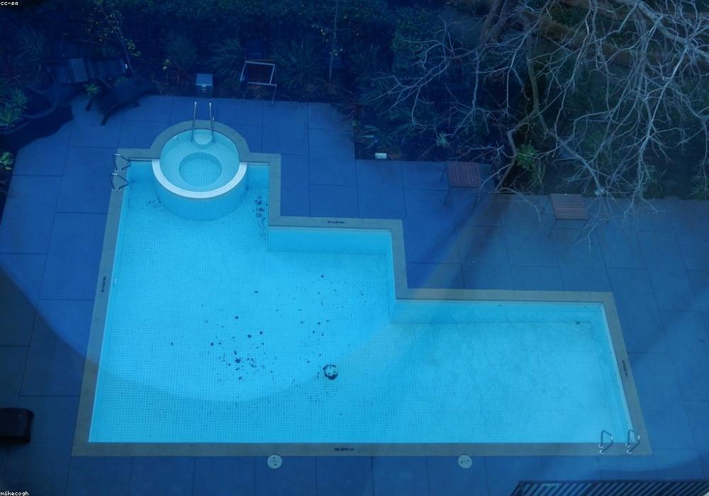 Clean backyard pool in Fort Myers